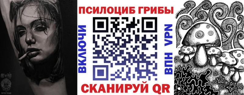 Псилоцибиновые грибы Psilocybe  наркота  кракен tor  Городовиковск 