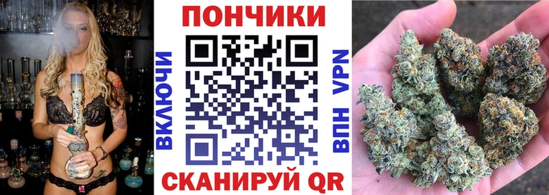 купить закладку  Городовиковск  Шишки марихуана Amnesia 